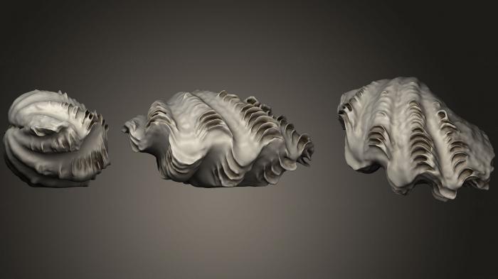 Stones and shells (ROCKS_0037) 3D model for CNC machine